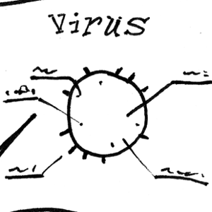 What's a Virus?