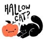 Hallow Cat