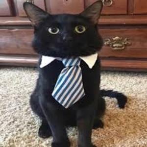 try not to get scared... scariest story