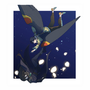 Magic in the Night Sky