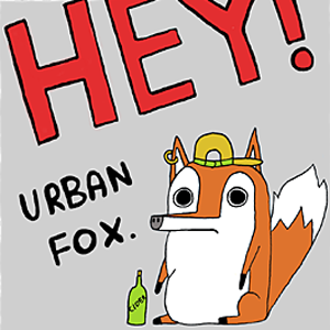 Meet Urban Fox