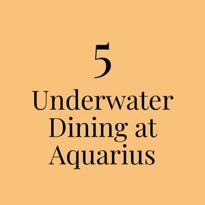 5. Underwater Dining at Aquarius, pt. 2