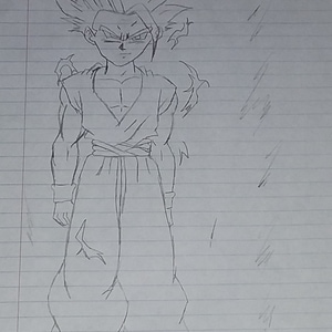 Teen Gohan