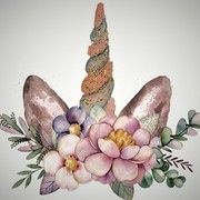 Like a Unicorn I Don't Exist