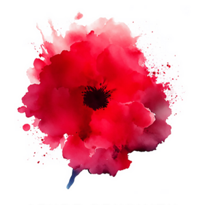 Announcement(not a chapter)