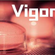 Vigor: The Strength You're Given