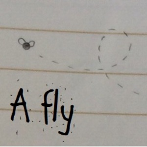 The unfortunate crush of a ninja: A fly part 1.