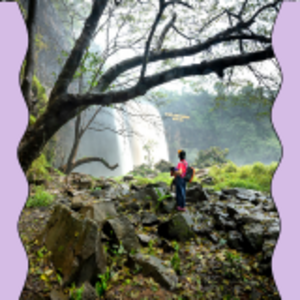 Music, Stories, and Feelings 