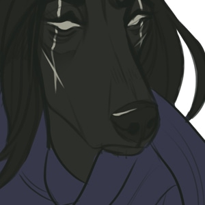 EXTRA: Introducing Foster