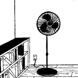 Summer Heat