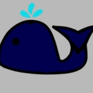 Shapes of the shifter