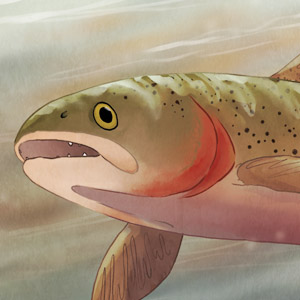 Oren's Forge - PG 353