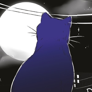 O Gato e Sua Lua