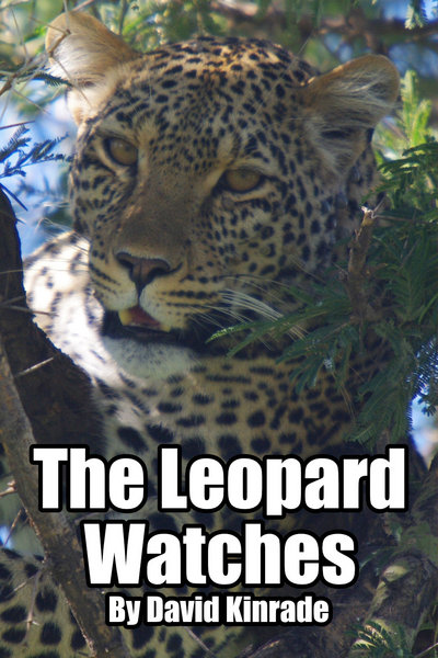 The Leopard Watches