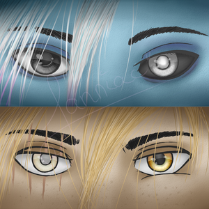 Chapter 12 - The Questions