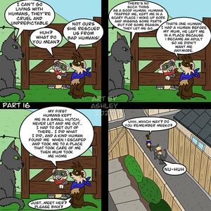 Part 16 - Crossroads