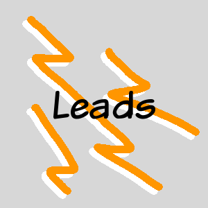 10. Leads