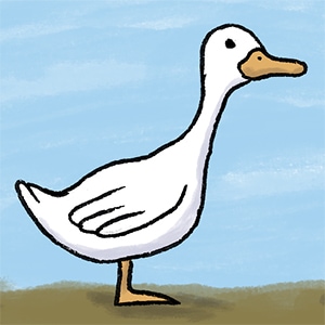 About Ducks