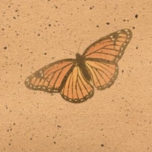 Chapter 1: The Shattered Nest