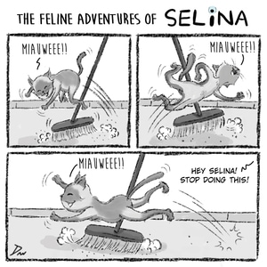 The kitty that helps on cleaning.