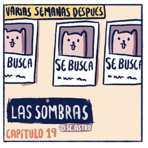 Cap&iacute;tulo 19