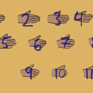 4: Categories in sign languages