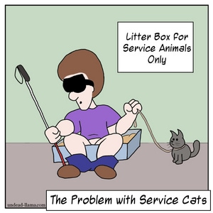 The Problem With Service Cats
