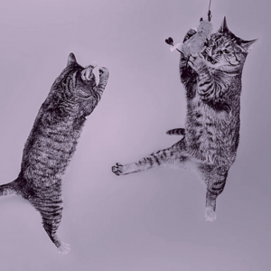 Les disparus du chat vocal