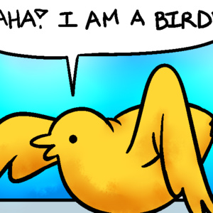 HAHA! I AM A BIRD!