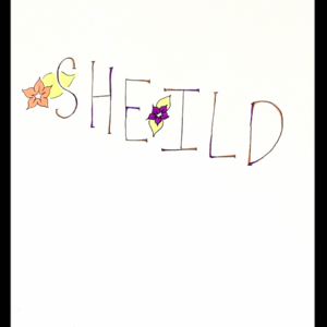 Sheild