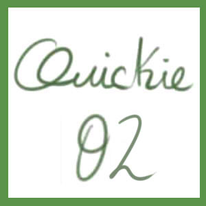 Quickie 02