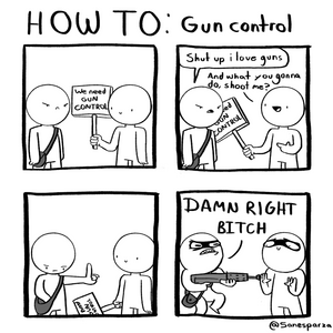 HOW TO: Gun control