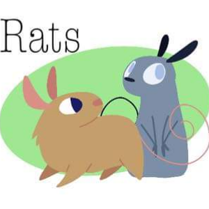 Rats