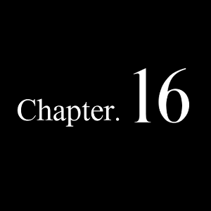 Chapter 16