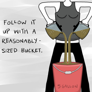 A Respectable Morning Buzz