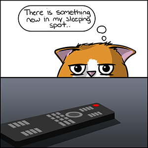 The Remote