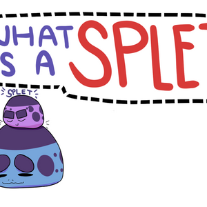 What is a Splet?