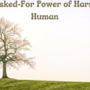 The Unasked-For Power of Harriett The Human