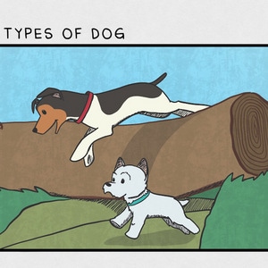 Two types of dog