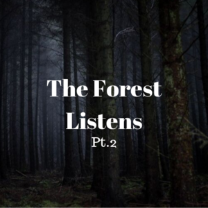 The Forest Listens Pt.2