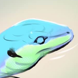 Avant propos, pages 7