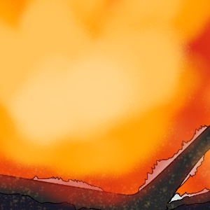Chapter 7