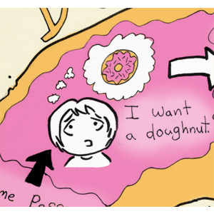 The Great Doughnut Cycle