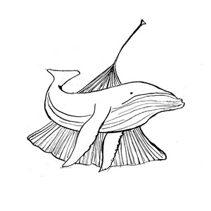 ginkgo.whale