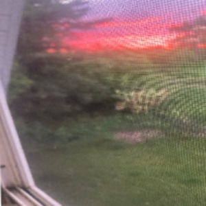 Brickofgarlicbread