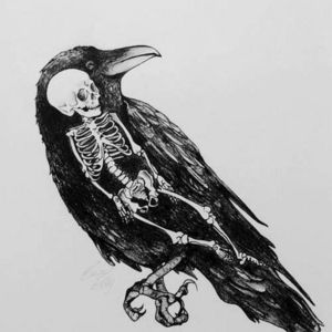 Smol Raven