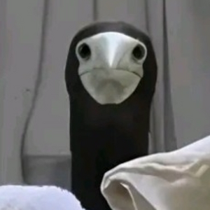 sBeans