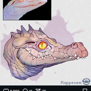 superturtle06