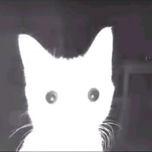 M.G.