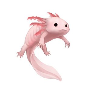 Axolotl_God
